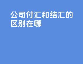 公司付汇和结汇的区别在哪