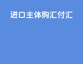 进口主体购汇付汇
