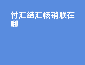 付汇结汇核销联在哪