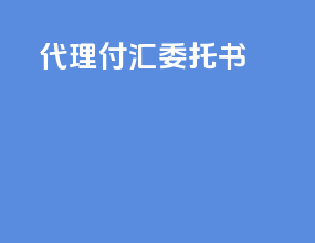 代理付汇委托书