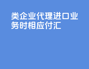 B类企业代理进口业务时 相应付汇