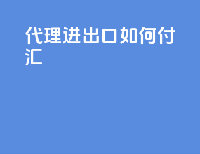 代理进出口如何付汇
