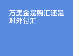 5万美金是购汇还是对外付汇