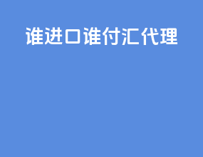 谁进口谁付汇  代理