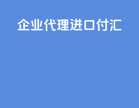 企业代理进口付汇
