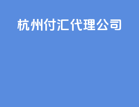杭州付汇代理公司