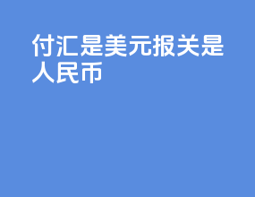 付汇是美元报关是人民币