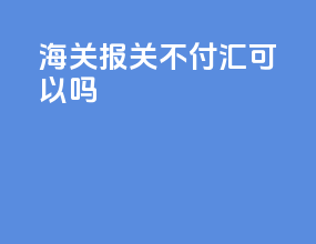 海关报关不付汇可以吗