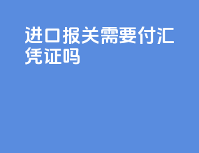 进口报关需要付汇凭证吗