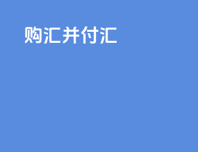 购汇并付汇