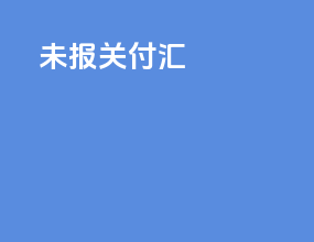 未报关付汇