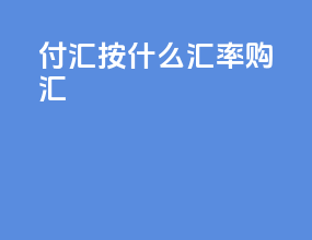 付汇按什么汇率购汇
