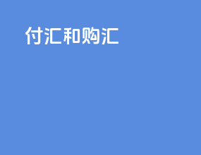 付汇和购汇