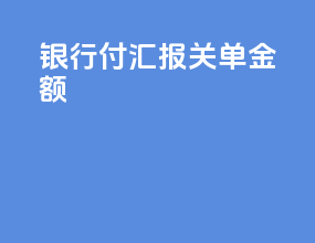 银行 付汇 报关单金额