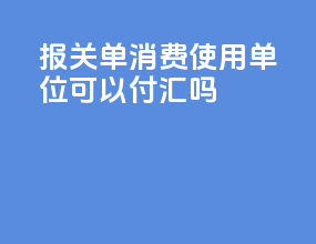报关单消费使用单位可以付汇吗