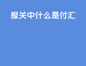 报关中什么是付汇