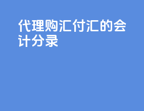 代理购汇付汇的会计分录