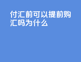 付汇前可以提前购汇吗为什么