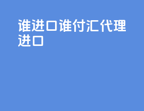 谁进口谁付汇 代理进口