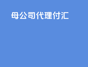 母公司代理付汇