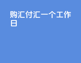 购汇 付汇 一个工作日