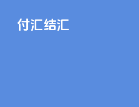 付汇 结汇