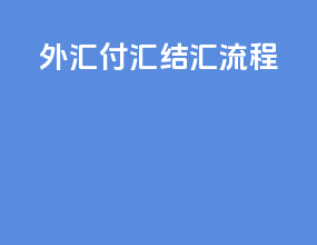 外汇付汇结汇流程