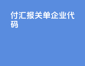 付汇 报关单企业代码