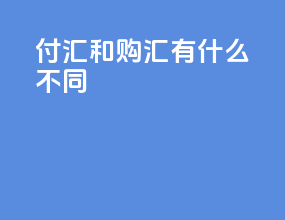 付汇和购汇有什么不同