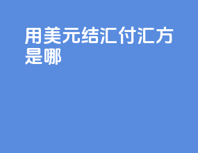 用美元结汇付汇方是哪