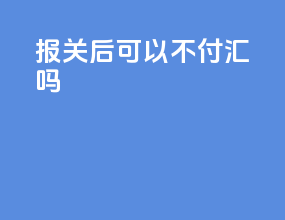 报关后可以不付汇吗