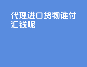 代理进口货物谁付汇钱呢