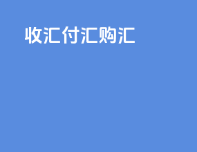 收汇付汇购汇