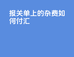 报关单上的杂费如何付汇