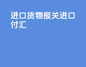 进口货物报关 进口付汇