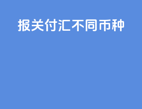 报关付汇不同币种