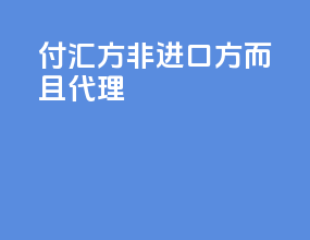 付汇方非进口方而且代理