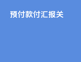 预付款 付汇 报关