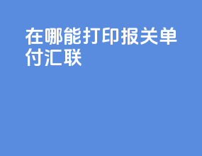 在哪能打印报关单付汇联