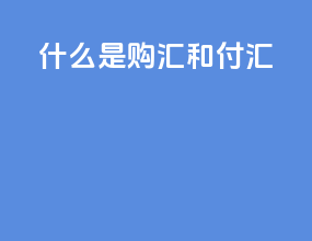 什么是购汇和付汇