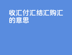 收汇付汇结汇购汇的意思