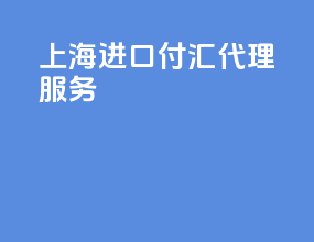 上海进口付汇代理服务