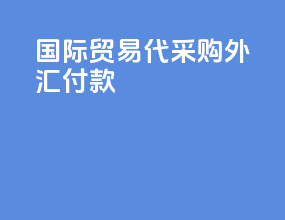 国际贸易代采购外汇付款