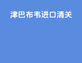 津巴布韦进口清关