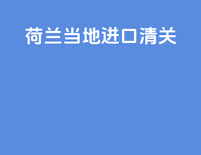 荷兰当地进口清关