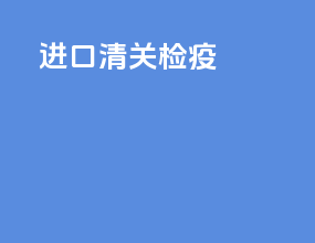 进口清关经验