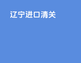 陇南进口清关