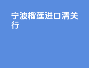 宁波榴莲进口清关行