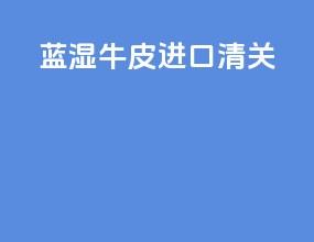 蓝湿牛皮进口清关