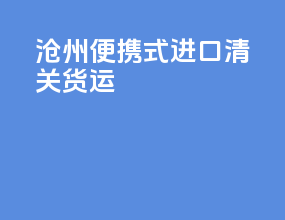 沧州便携式进口清关货运